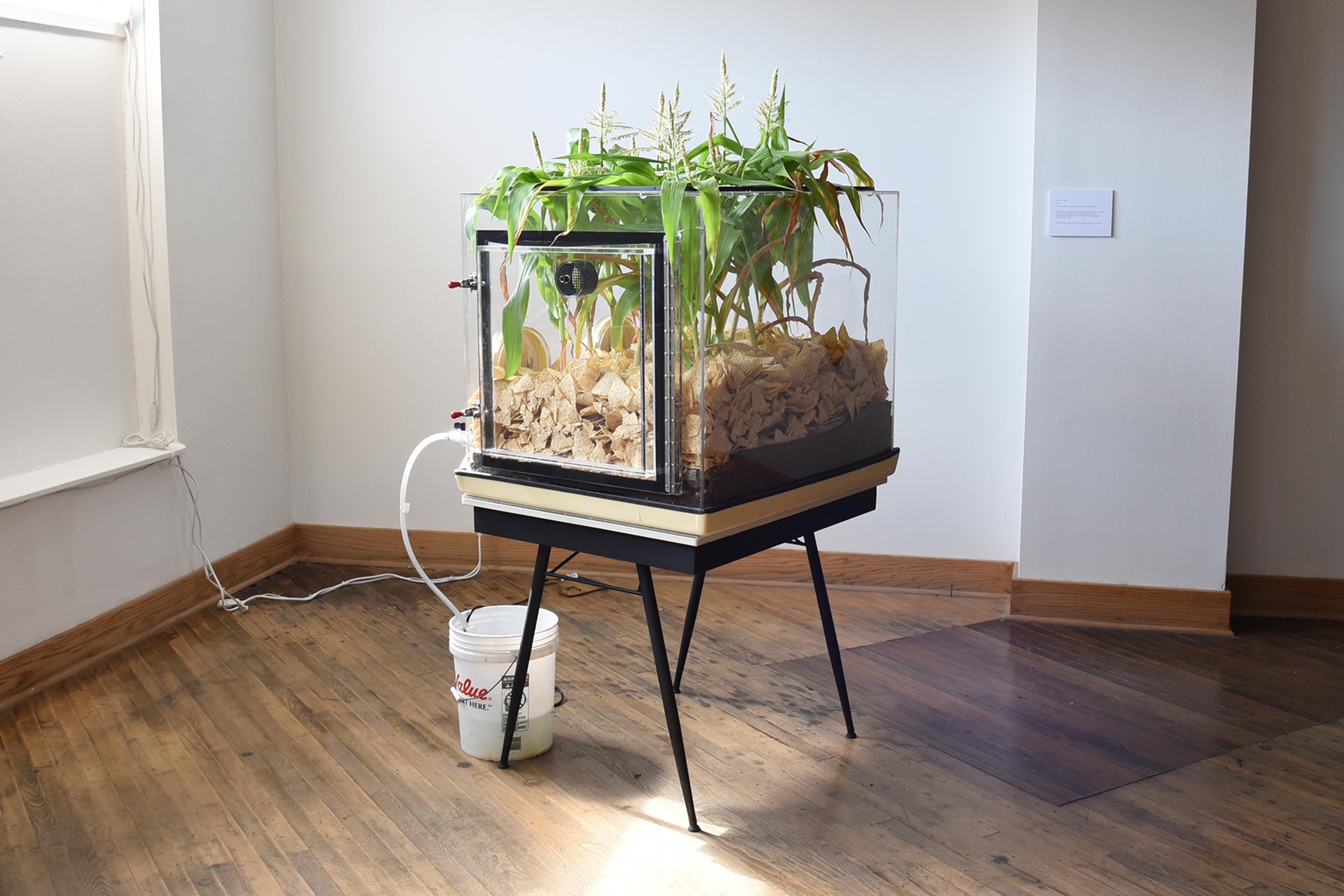 Milt Friedly artwork 1